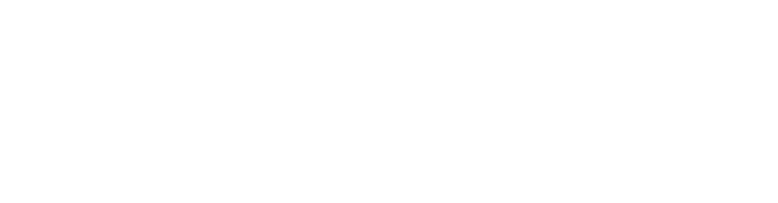 QPayPro